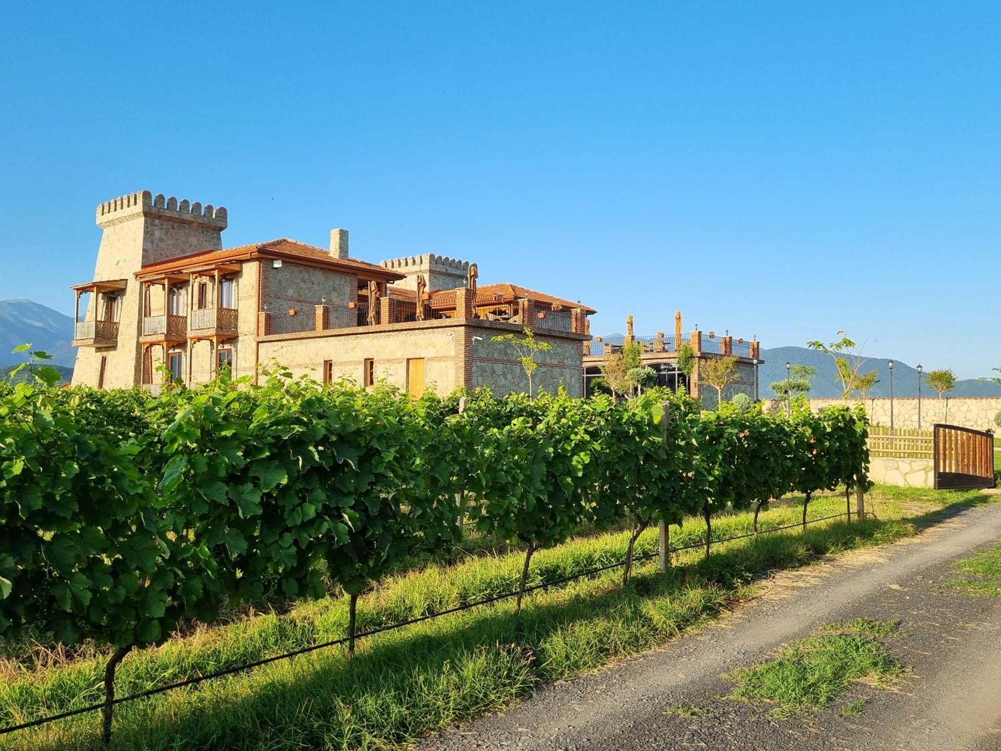 Chateau Davitiani Shilda エクステリア 写真