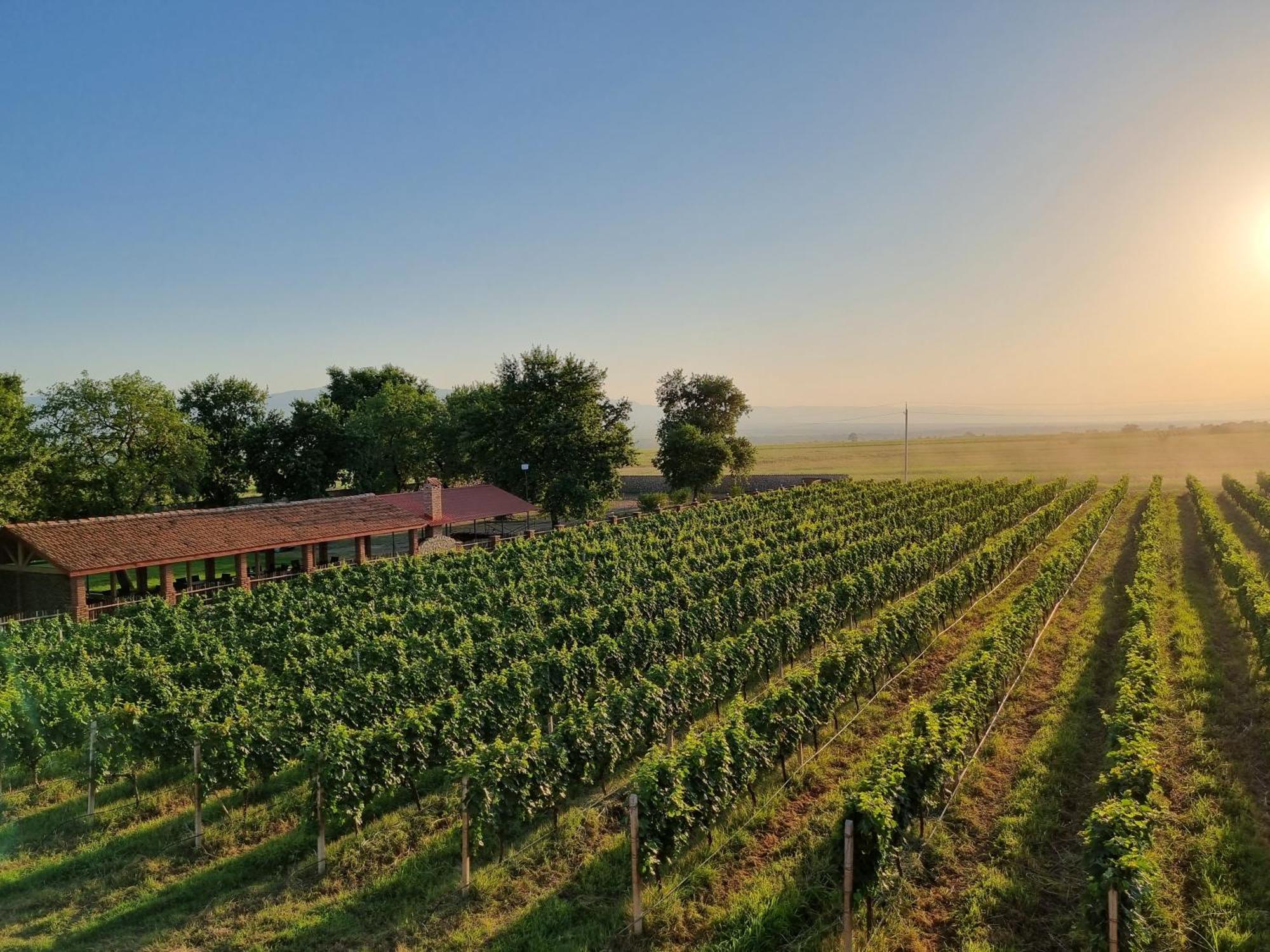 Chateau Davitiani Shilda エクステリア 写真