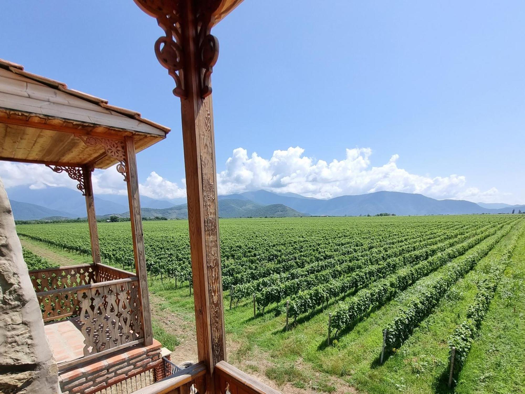 Chateau Davitiani Shilda 部屋 写真