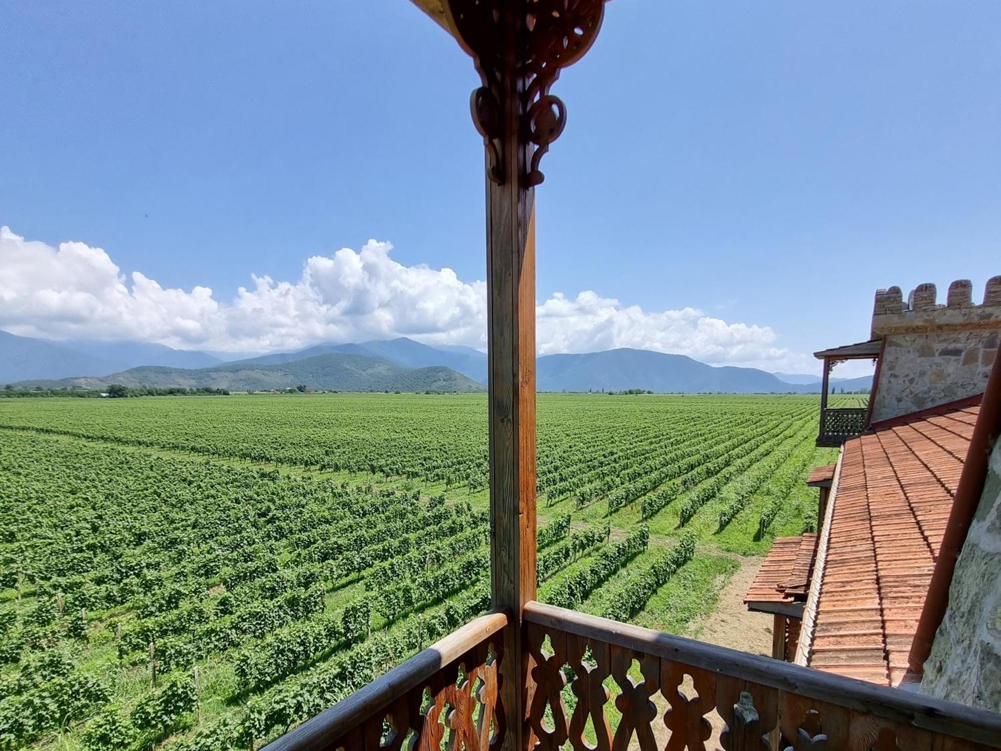Chateau Davitiani Shilda 部屋 写真